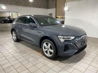 Damaged car Audi Q8 e-tron 55 quattro advanced HUD/AHK/KAM/NAVI 2024/6