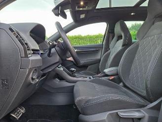 Skoda Karoq Sportline 4x4 2.0 TFSI PANO/360/NAVI picture 16