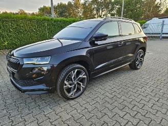 Skoda Karoq Sportline 4x4 2.0 TFSI PANO/360/NAVI picture 2