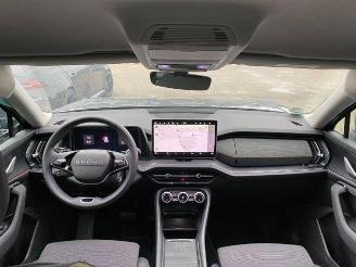 Skoda Kodiaq iV 1.5 TSI e-Hybrid Selection AHK/KAM picture 20