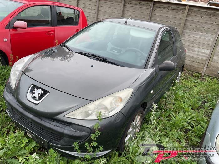 Peugeot 206 206+ (2L/M), Hatchback, 2009 / 2013 1.1 XR,XS