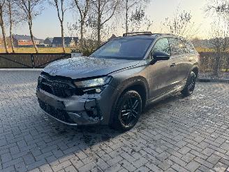 Skoda Kodiaq Skoda Kodiaq RS DSG Panorama HUD Ambiance VOL! picture 29