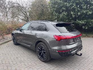 Audi Q8 Audi Q8 e-tron 55 Quattro S-line PANORAMA AHK Camera picture 10
