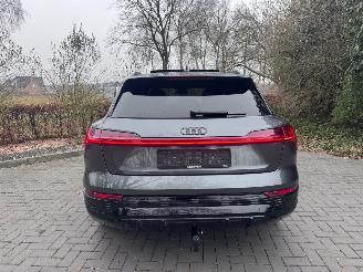 Audi Q8 Audi Q8 e-tron 55 Quattro S-line PANORAMA AHK Camera picture 6