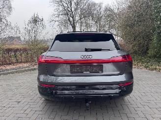 Audi Q8 Audi Q8 e-tron 55 Quattro S-line PANORAMA AHK Camera picture 5