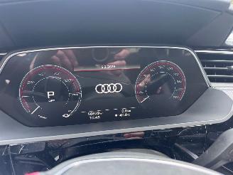 Audi Q8 Audi Q8 e-tron 55 Quattro S-line PANORAMA AHK Camera picture 13