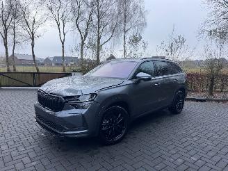 Coche accidentado Skoda Kodiaq Skoda Kodiaq 1.5 TSI mHEV 110 kW 7 Persoons Selection Trekhaak Camera VOL 2025/7