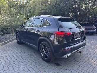 Mercedes GLA Mercedes-Benz GLA 250e AMG Panorama 360view AHK Leder VOL picture 10