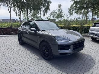 Porsche Cayenne Cayenne E-Hybrid PANORAMA Leder Trekhaak 360View VOLL picture 22