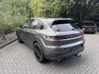 Porsche Cayenne Cayenne E-Hybrid PANORAMA Leder Trekhaak 360View VOLL picture 31