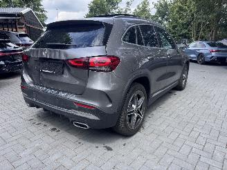 Mercedes GLA GLA 250 e AMG Panorama Ambiance Camera ACC VOL picture 11