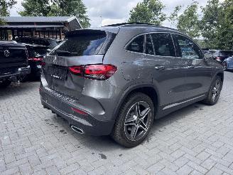 Mercedes GLA GLA 250 e AMG Panorama Ambiance Camera ACC VOL picture 2
