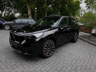 BMW X1 X1 sDrive 18 i M Sport PANORAMA Camera Ambiance VOL!! picture 10