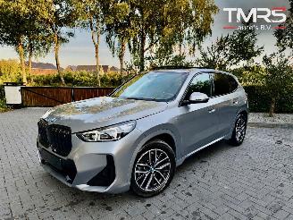 Avarii autoturisme BMW iX1 iX1 30 xDrive M Sport PANO HUD Frozen-Grey VOLL 2023/4
