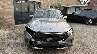 Mercedes EQB EQB 300+ 4Matic 7 Sitzer Ambiance Leder Camera picture 26