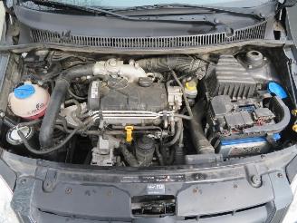 Volkswagen Fox  picture 16