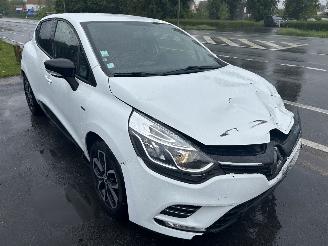 schade Renault Clio 