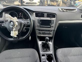 Volkswagen Golf  picture 5