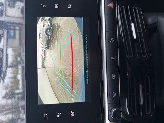 Citroën C4 cactus AUTOMAAT picture 10