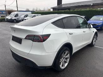 Schadeauto Tesla Model Y  2023/11