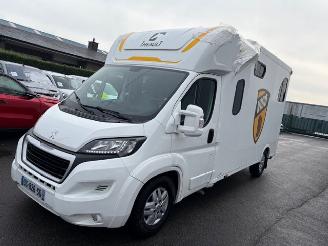krockskadad bil bedrijf Peugeot Boxer THEAULT PROTEO 5 SEATS 2015/6