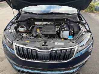 Skoda Karoq  picture 13