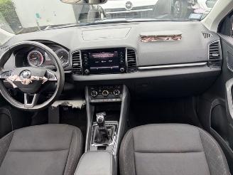 Skoda Karoq  picture 7