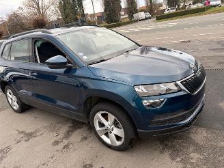 Skoda Karoq  picture 4