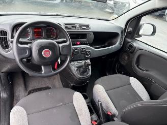 Fiat Panda  picture 5