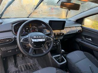 Dacia Jogger 1.0 TCe 110 Extreme 7 P. N.A.P. picture 12