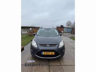 Sloopauto Ford Grand C-Max Grand C-Max (DXA), MPV, 2010 / 2019 1.0 Ti-VCT EcoBoost 12V 125 2013/10
