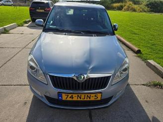 Vrakbiler auto Skoda Fabia Fabia II Combi, Combi 5-drs, 2007 / 2014 1.2 TDI 12V Greenline 2010/9