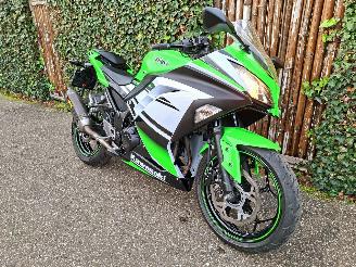  Kawasaki  Ninja 300 Anniversary Edition 2015/6