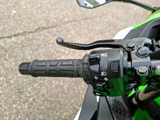 Kawasaki  Ninja 300 Anniversary Edition picture 21