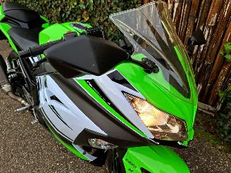 Kawasaki  Ninja 300 Anniversary Edition picture 3