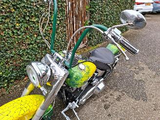 Harley-Davidson Heritage softtail FLSTC Heritage Classic picture 15