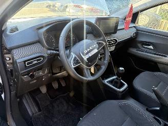 Dacia Jogger 1.0 TCe 100 ECO-G Expression 7 persoons picture 9