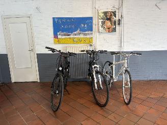Koga-Miyata  SPORT picture 3