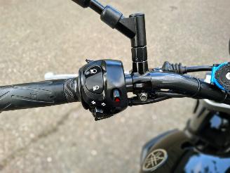 Yamaha MT-03  picture 22