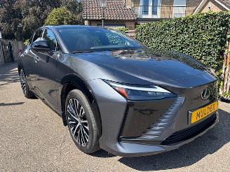 Lexus RZ GERESERVEERD   450e Executive 4x4 AWD 320 PK  71 kWh  PANORAMA picture 2