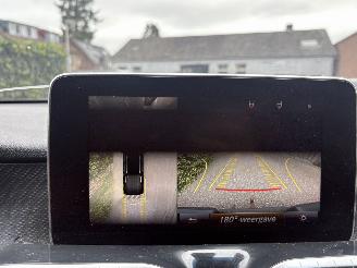 Mercedes X X250 D- 4- MATIC PROGESSIVE 200 PK 4X4 AUTOMAAT NAP picture 19