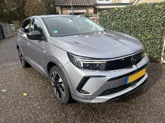 Opel Grandland 1.6 Turbo Plug-In Hybrid 180 Pk Automaat picture 1