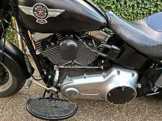 Harley-Davidson  Fat Boy Low Special FLSTFB 103 (5HD) picture 14