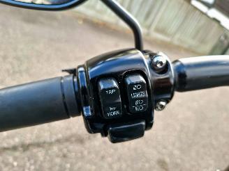 Harley-Davidson  Fat Boy Low Special FLSTFB 103 (5HD) picture 20