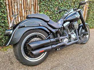 Harley-Davidson  Fat Boy Low Special FLSTFB 103 (5HD) picture 8