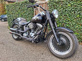 Harley-Davidson  Fat Boy Low Special FLSTFB 103 (5HD) picture 2