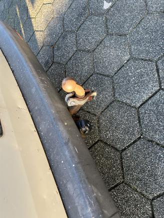 Volkswagen Transporter 1.9 TDI 300 T5 picture 13