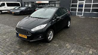 Vaurioauto  passenger cars Ford Fiesta 1.0 Ecoboost Titanium 2013/9