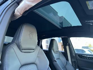 Porsche Cayenne 3.0 E-Hybrid Platinum Edition picture 27