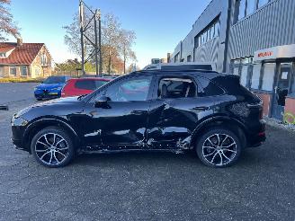 Porsche Cayenne 3.0 E-Hybrid Platinum Edition picture 2